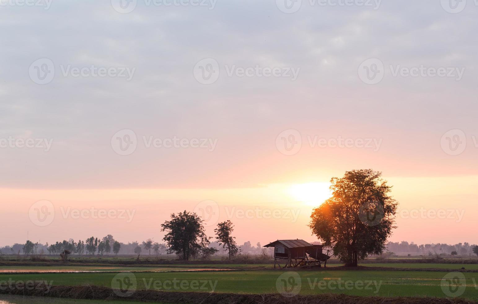 alba mattutina con cottage vicino all'albero. foto