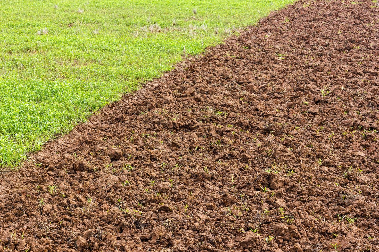 prato con preparazione del terreno. foto