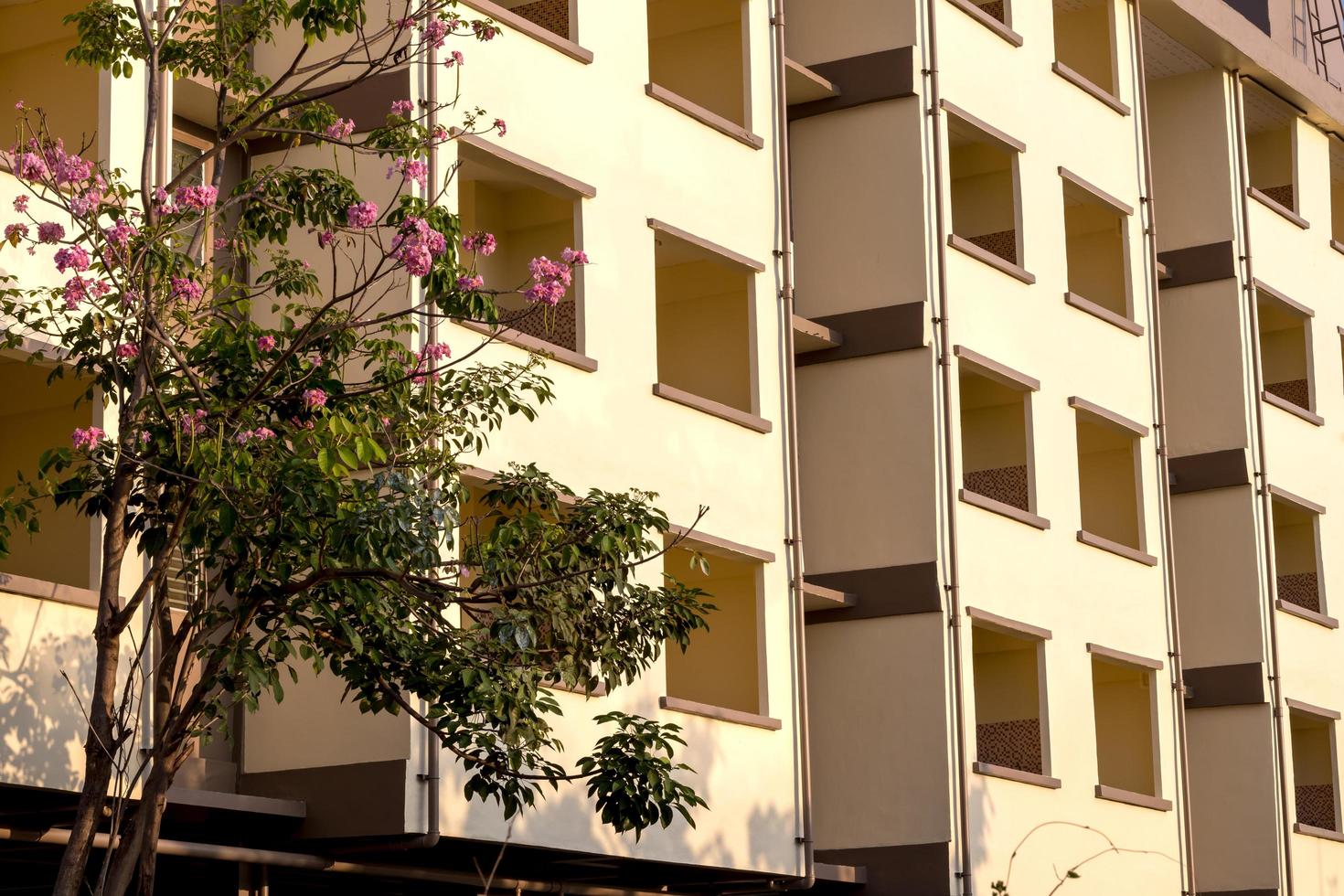 edificio giallo e luce solare vicino all'albero. foto