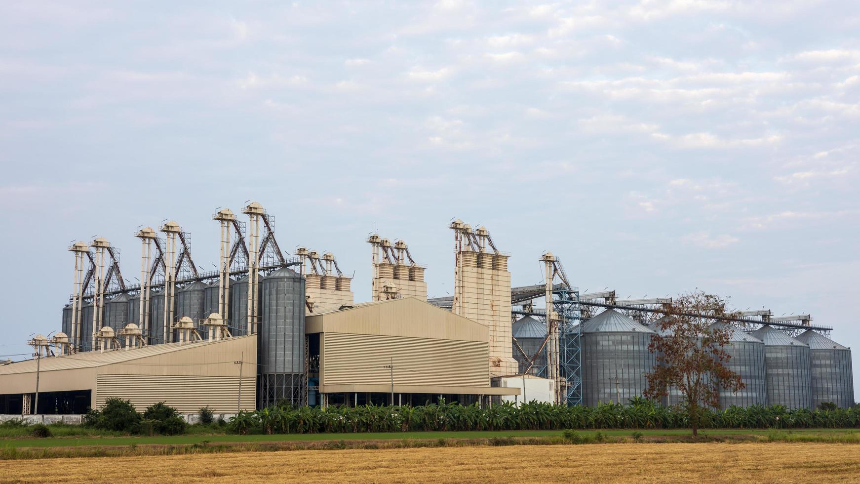 vista di un vecchio edificio industriale utilizzato come fienile per la cottura a vapore dei chicchi di riso. foto