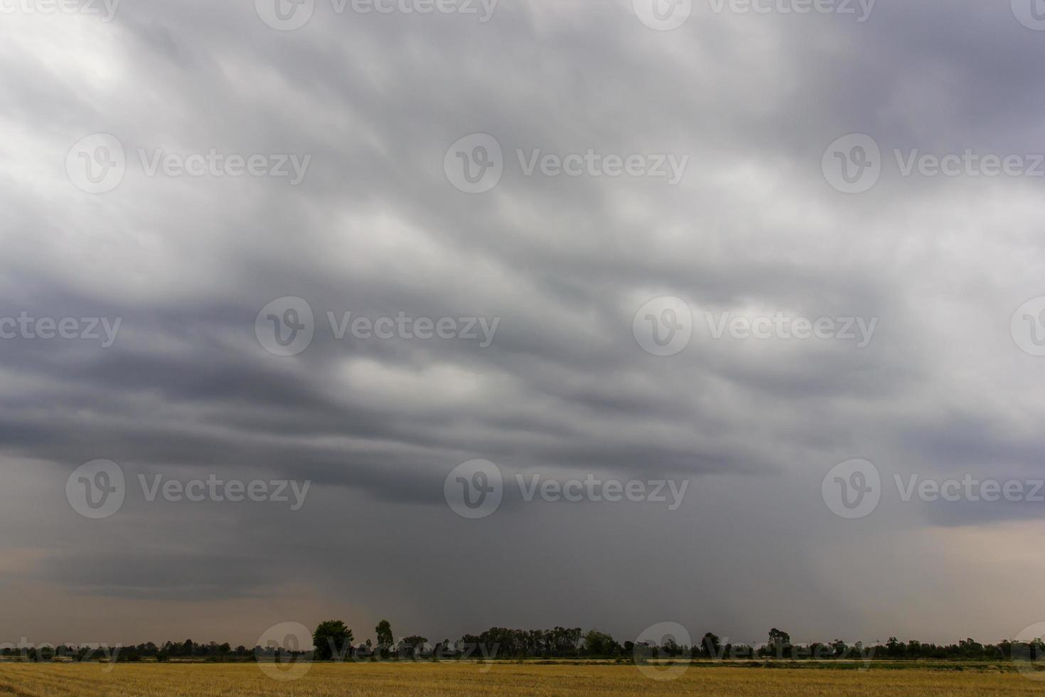 cielo nuvoloso sopra la risaia. foto