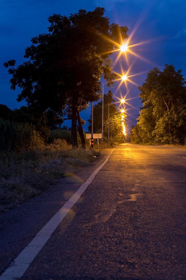 molte luci sulla strada con alberi crepuscolari. foto