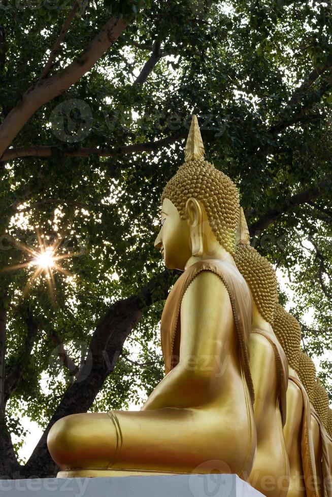 buddha con foglie chiare. foto