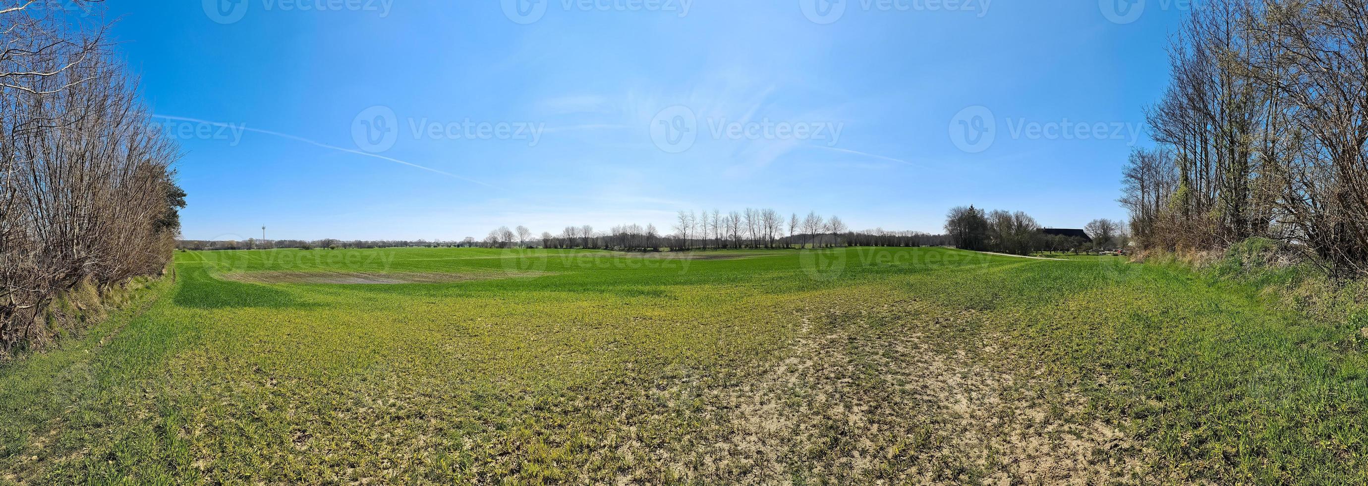 panorama di un paesaggio di un paese dell'Europa settentrionale con campi ed erba verde. foto