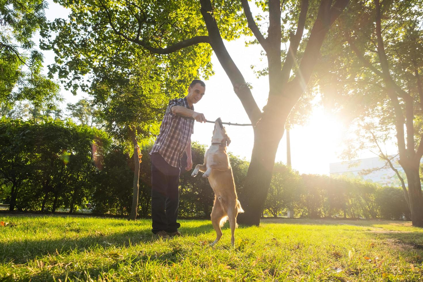 felice giovane maschio gioca con un cane non di razza nel soleggiato parco estivo foto