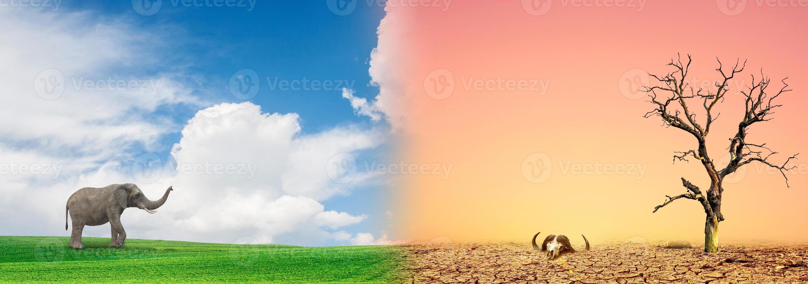 concetto di conservazione ambientale e cambiamento climatico globale. immagine che confronta le aree aride con le aree verdi. foto