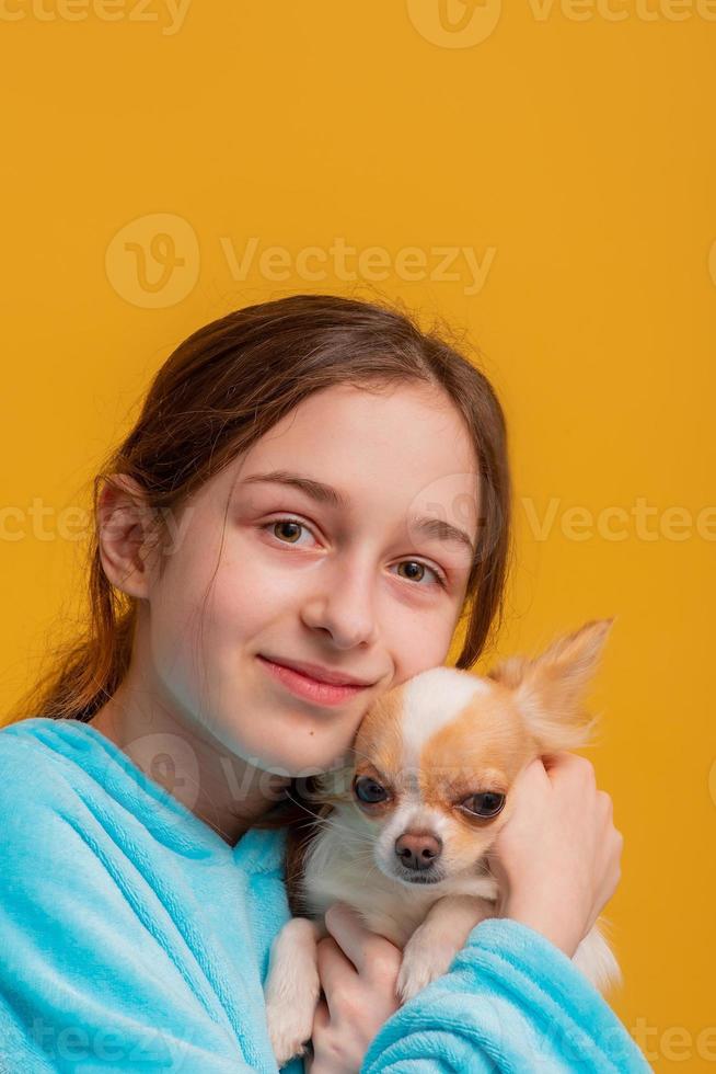 ragazza adolescente con un cane di razza chihuahua su sfondo giallo. ragazza e cane bianco. foto