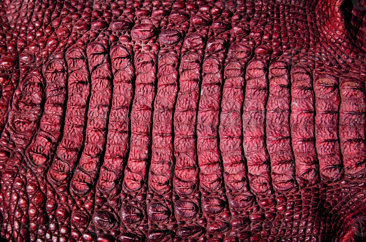 sfondo texture pelle di coccodrillo foto