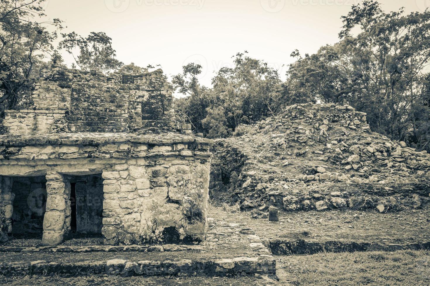 antico sito maya con rovine di templi piramidi manufatti muyil messico. foto