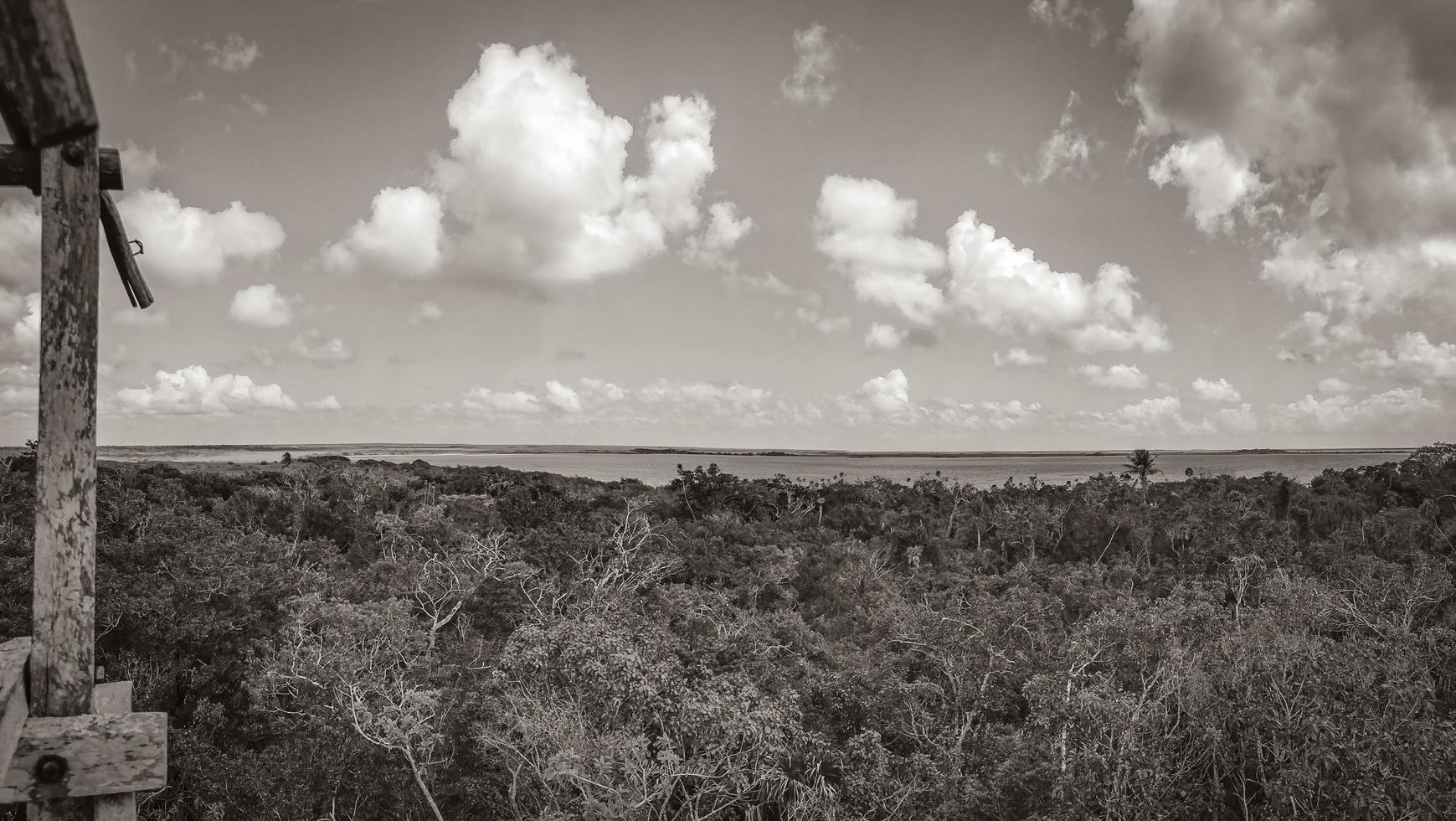 vista panoramica della laguna di muyil nella giungla tropicale messico. foto