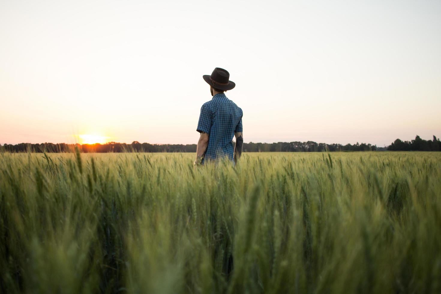 il giovane agricoltore maschio sta da solo nel campo di grano durante il tramonto foto