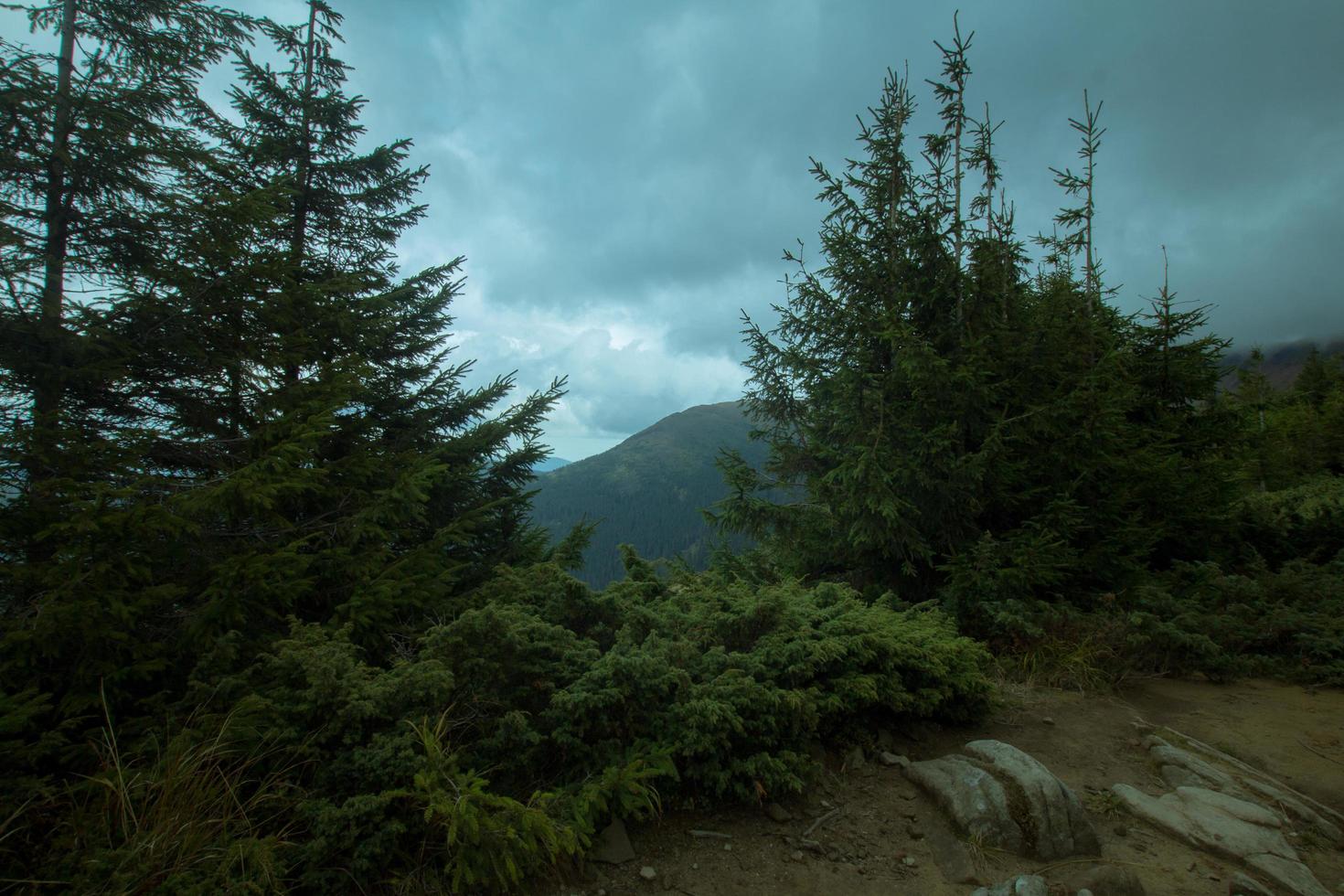 paesaggio con montagne e foreste autunnali foto