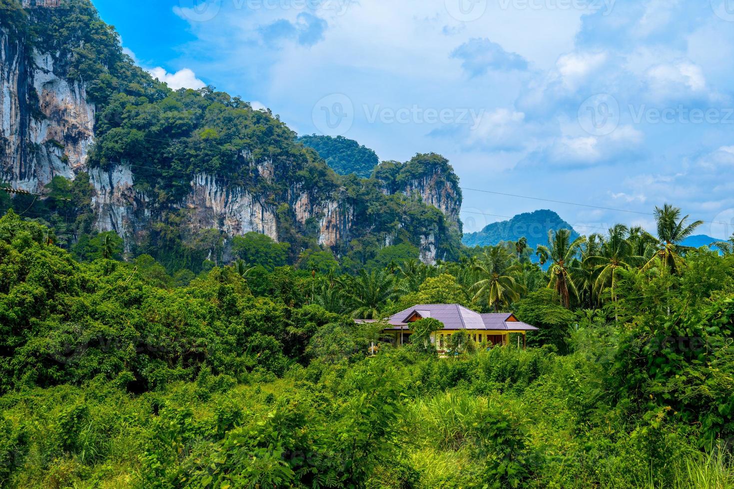 paesaggio con palme e rocce scogliere, khlong phanom national pa foto