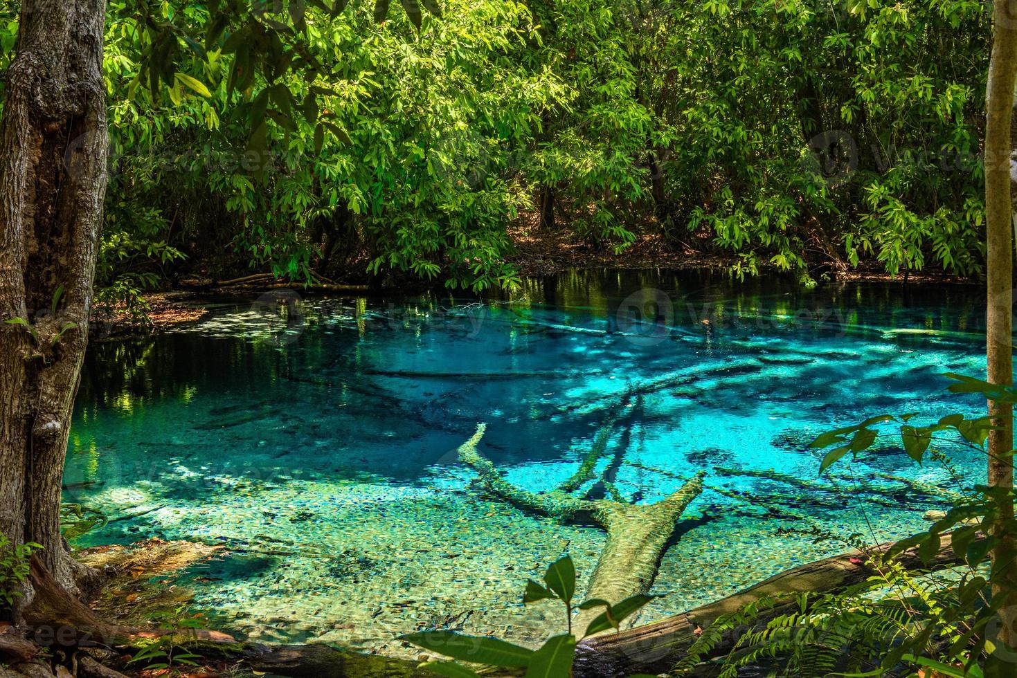 piscina color smeraldo, parco nazionale yosemite, krabi, thailandia foto