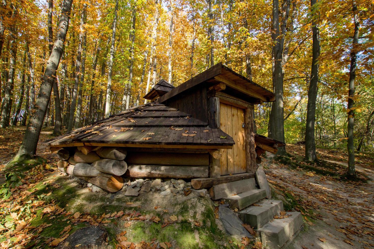 vecchia casa di legno nella bellissima foresta autunnale foto