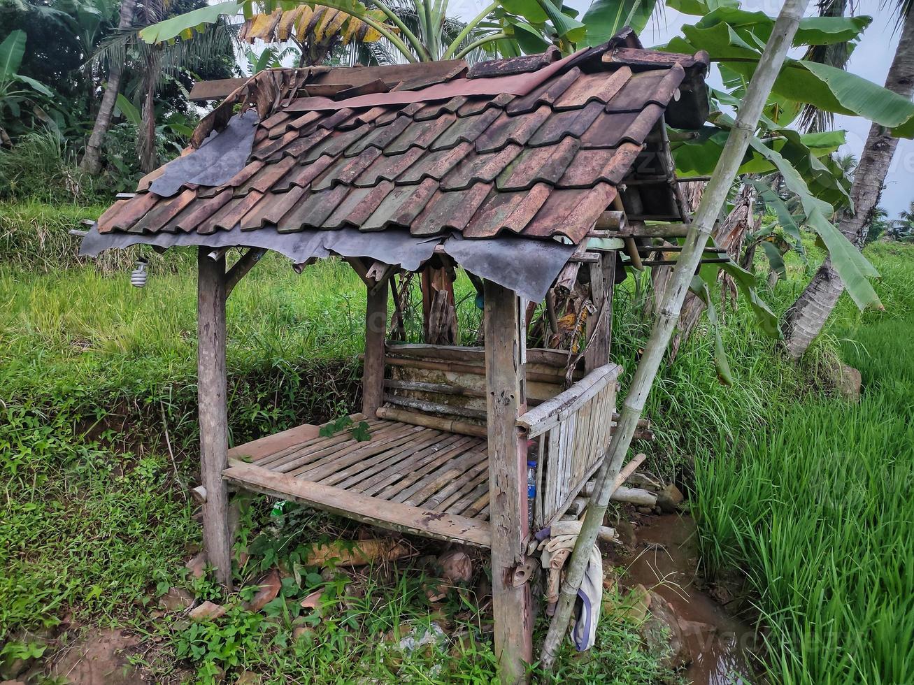 un piccolo edificio nel riso, un luogo di riposo dei contadini in Indonesia foto