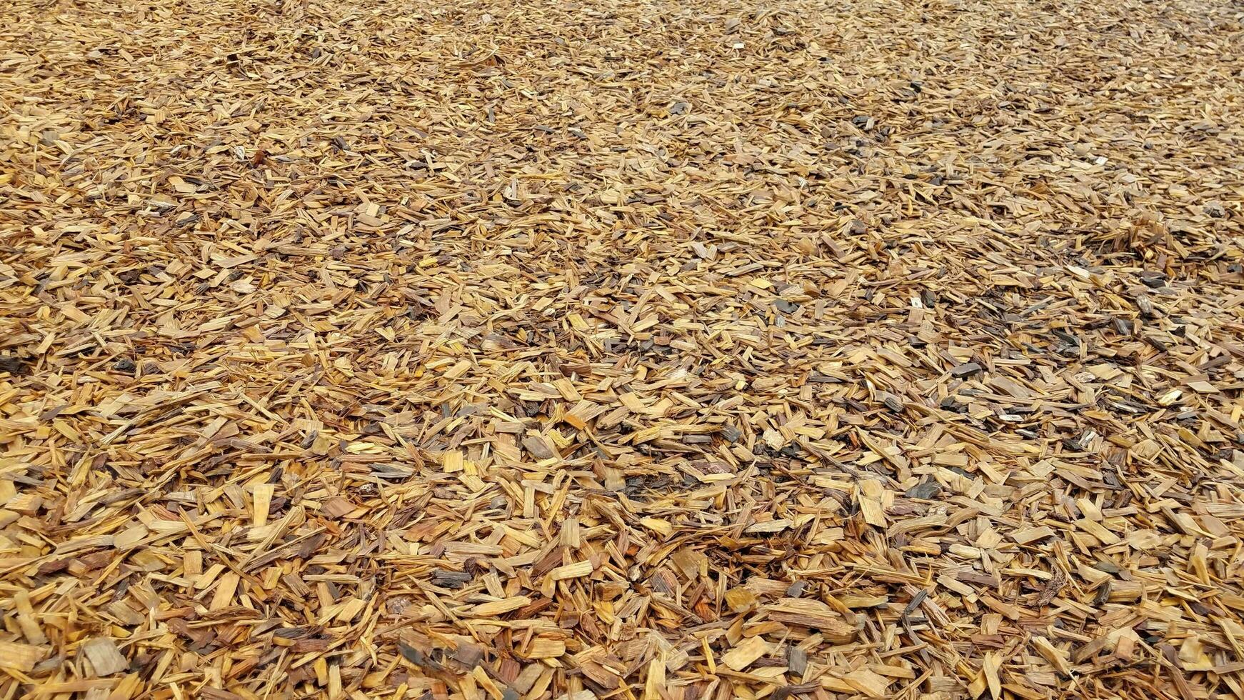 trucioli di legno umidi marroni o pacciame a terra foto