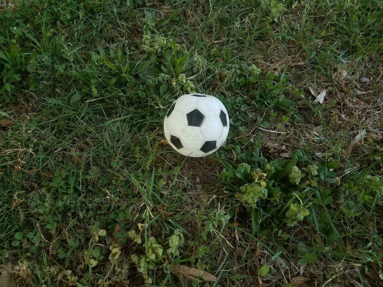 pallone da calcio in bianco e nero in erba verde foto