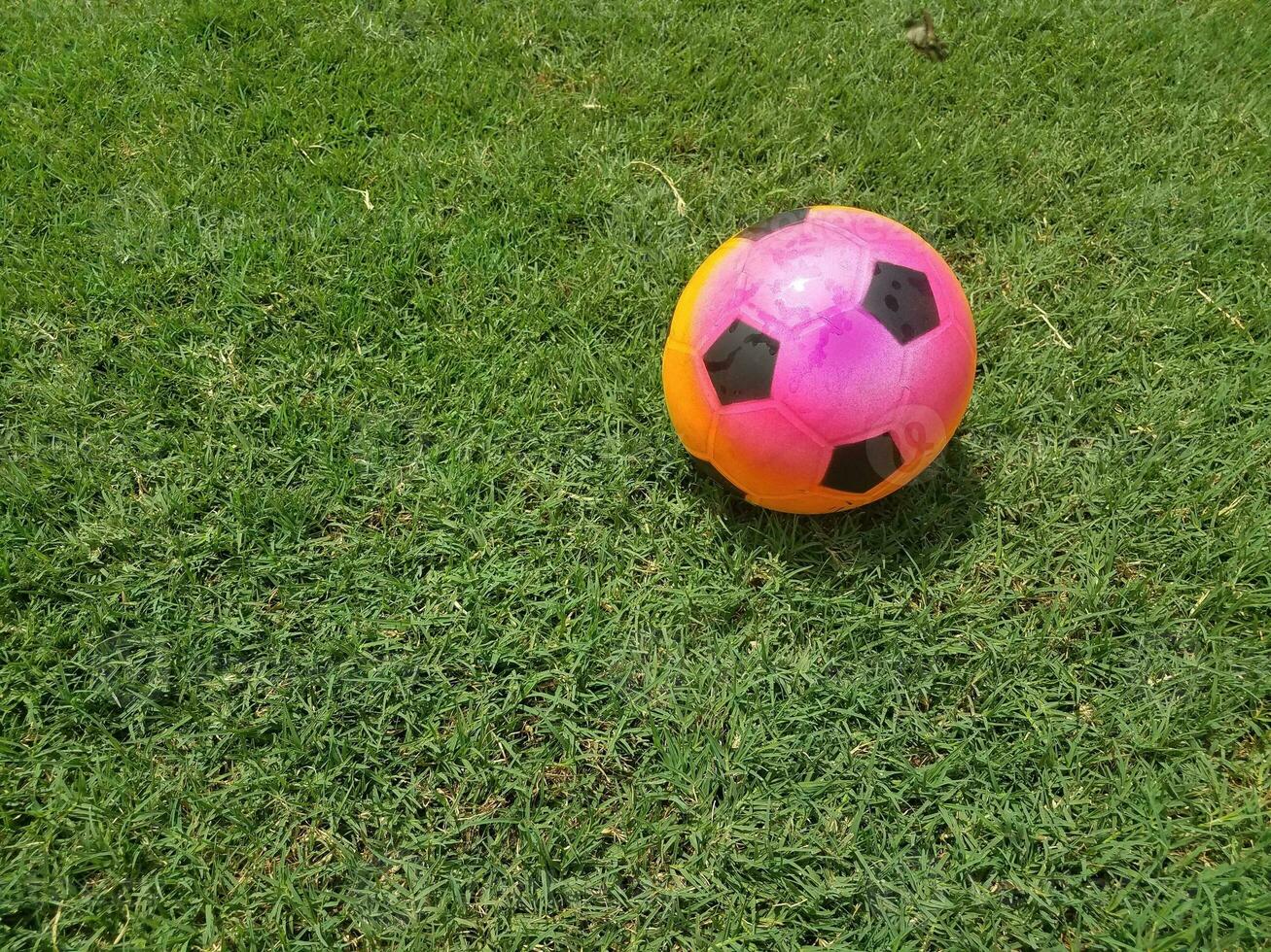 pallone da calcio colorato su erba su un campo foto