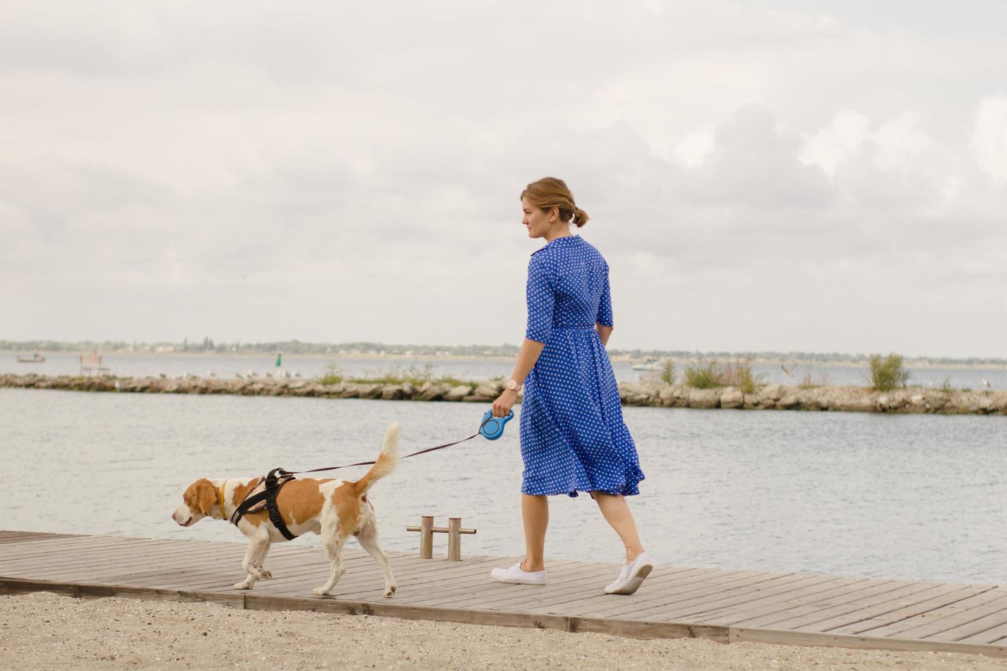 giovane donna in abito blu che si diverte con il cane beagle foto