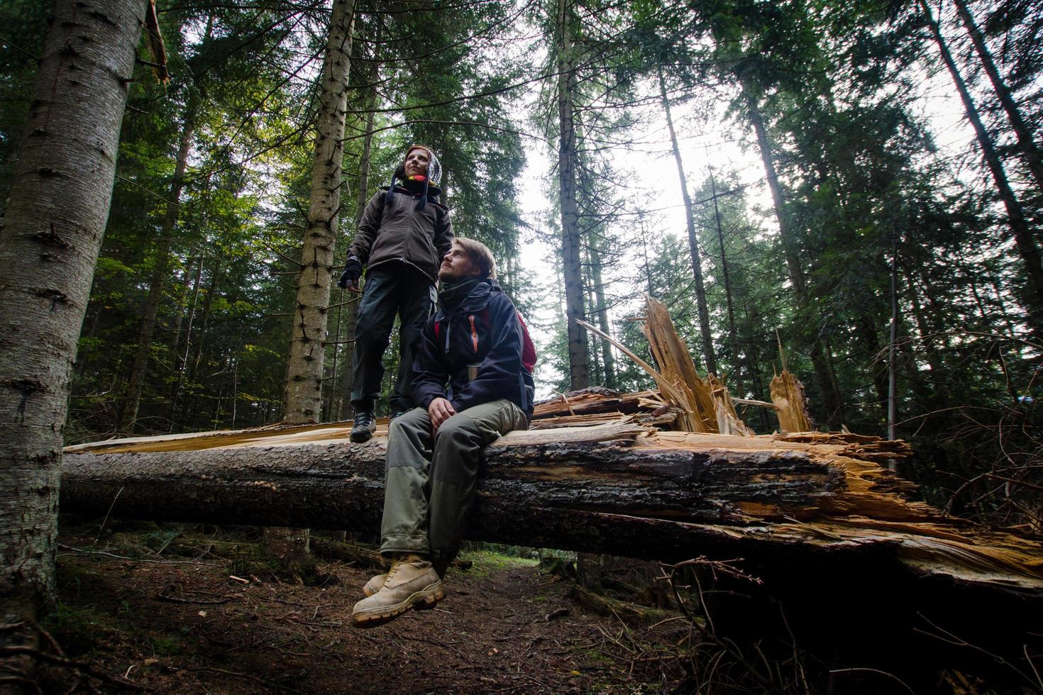 giovani coppie di escursionisti con tazze thermos nella foresta, viaggiatori in montagna che bevono tè o caffè foto