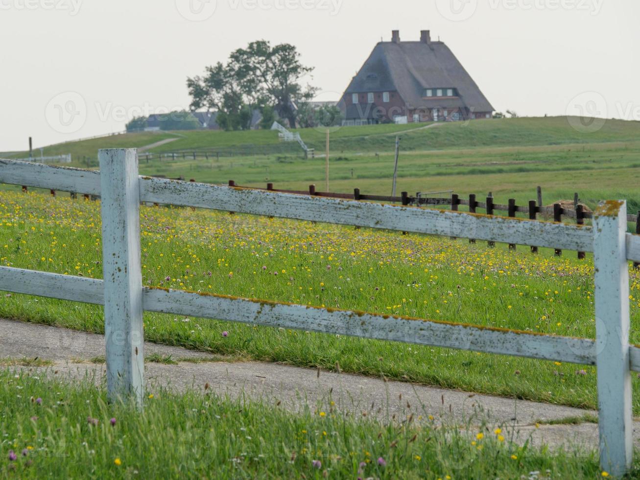 Hallig hooge nel mare del nord tedesco foto