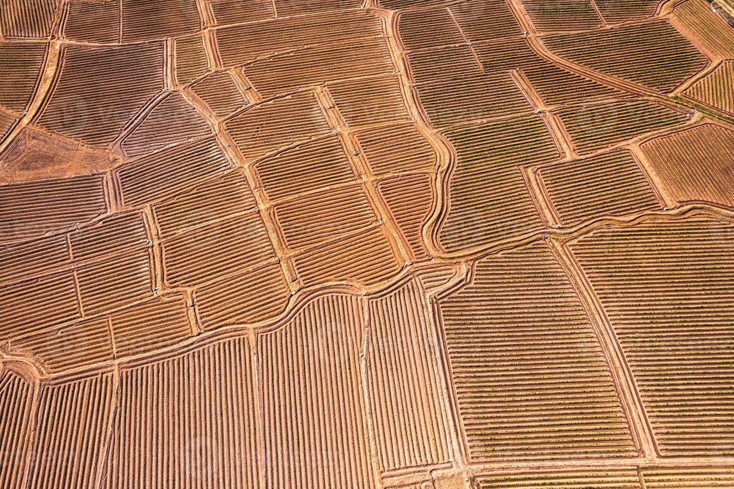 solco del terreno agricolo, campo di terreno che si prepara per la coltivazione in terreni agricoli in campagna foto