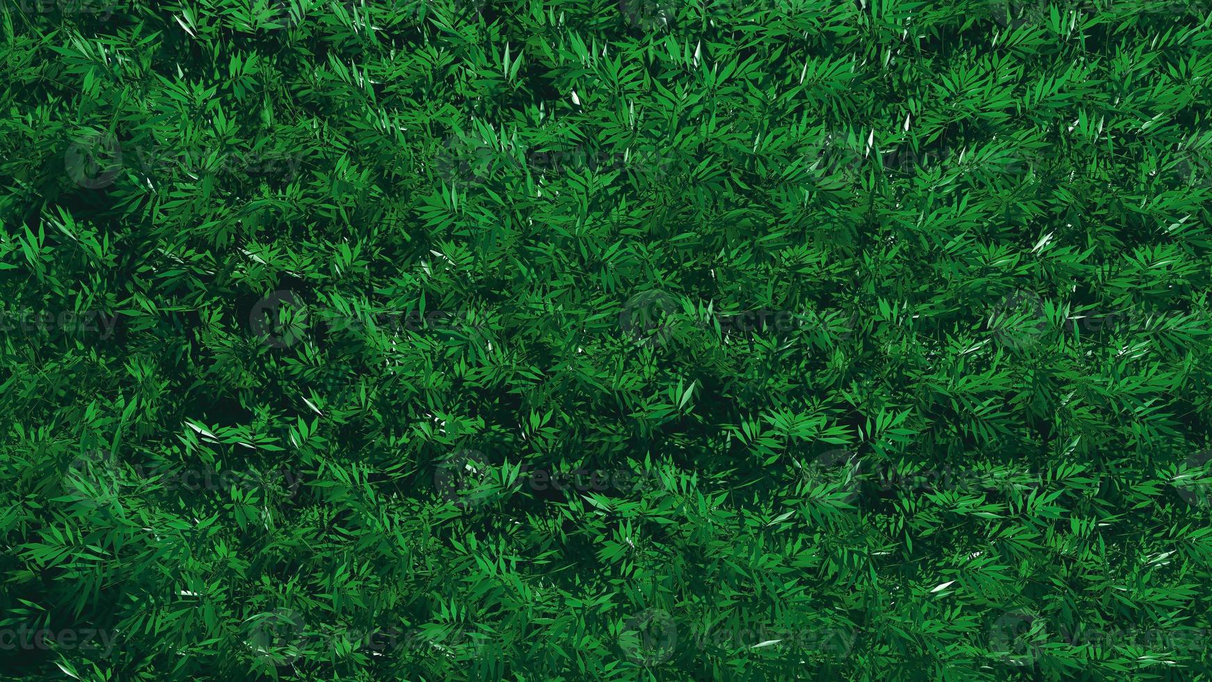 primo piano del cespuglio verde. rendering 3d di sfondo foto