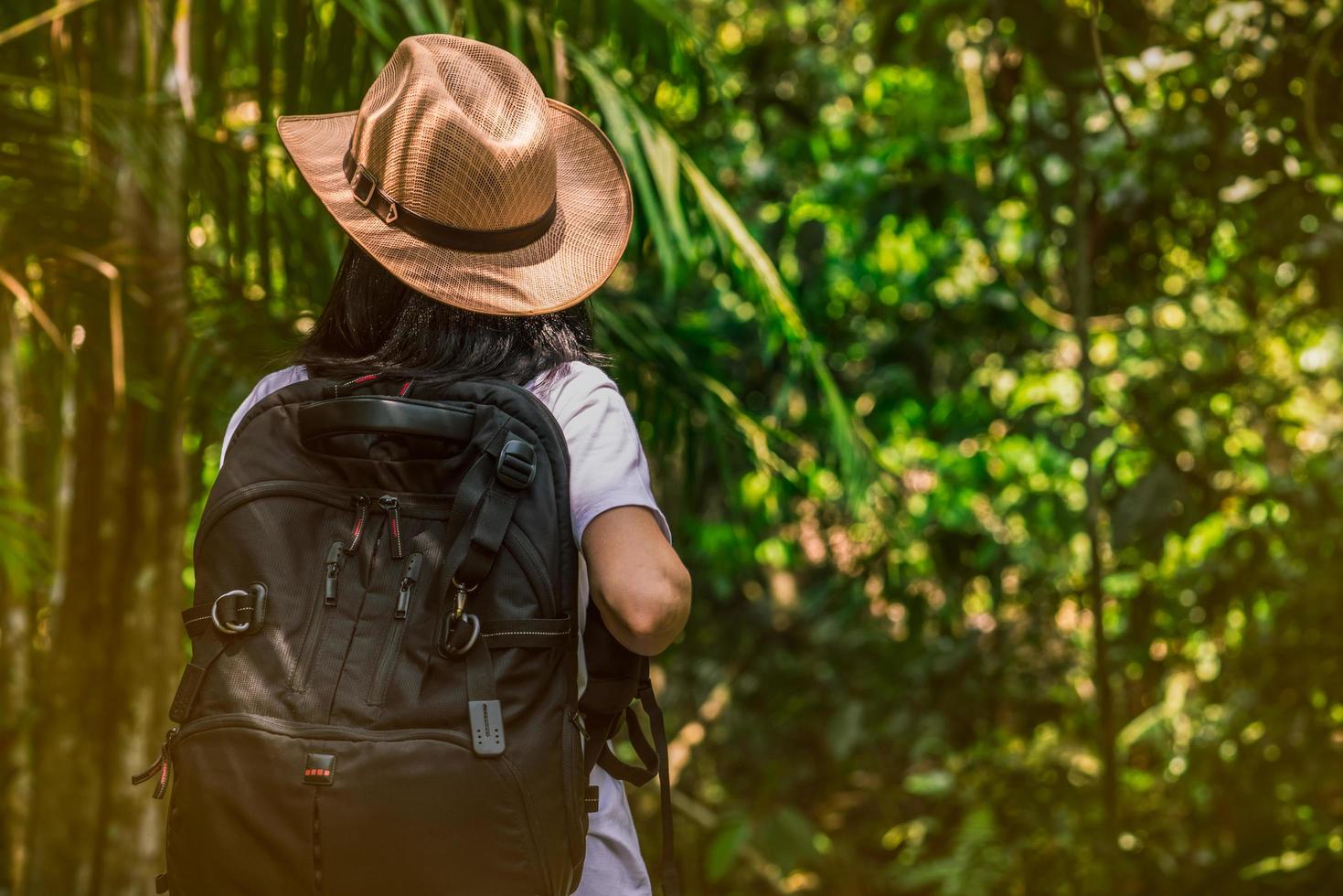 turista donna con cappello e zaino in piedi nella foresta sempreverde. il viaggiatore da solo della giovane donna gode del viaggio. foto