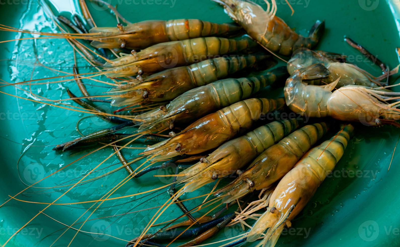 gamberi d'acqua dolce giganti su vassoio di plastica verde. gambero di fiume gigante fresco preparato per cucinare. animale da crostacei. fonte di proteine. foto