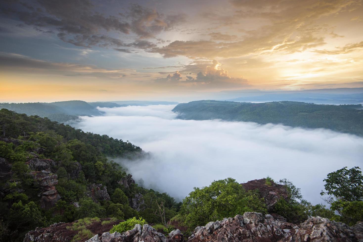 nebbioso paesaggio della foresta di montagna albe mattutine nebbia e albero della foresta vista in alto - foschia mattutina nebbiosa nella valle bel cielo in tailandia asiatico foto