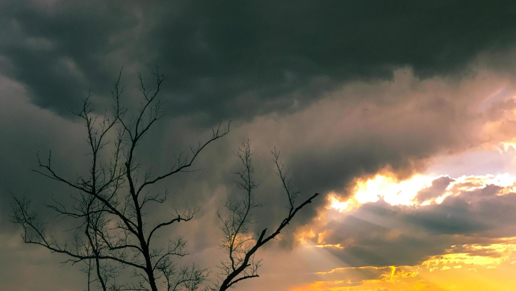 silhouette albero morto sul cielo nuvoloso dorato con raggio di sole. raggi del sole attraverso nuvole dorate. dio luce dal cielo per speranza e concetto fedele. credere in Dio. bella luce del sole sul cielo scuro e dorato. foto