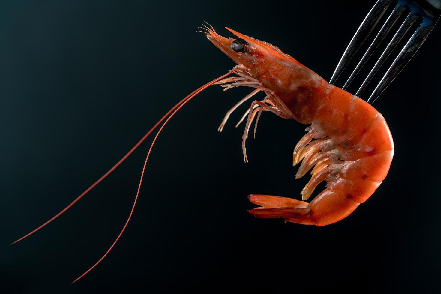 gamberetti al vapore sulla forcella isolati su sfondo scuro con spazio per la copia. buffet di pesce nel concetto di ristorante. utilizzare per la pubblicità di promozioni a buffet di pesce foto