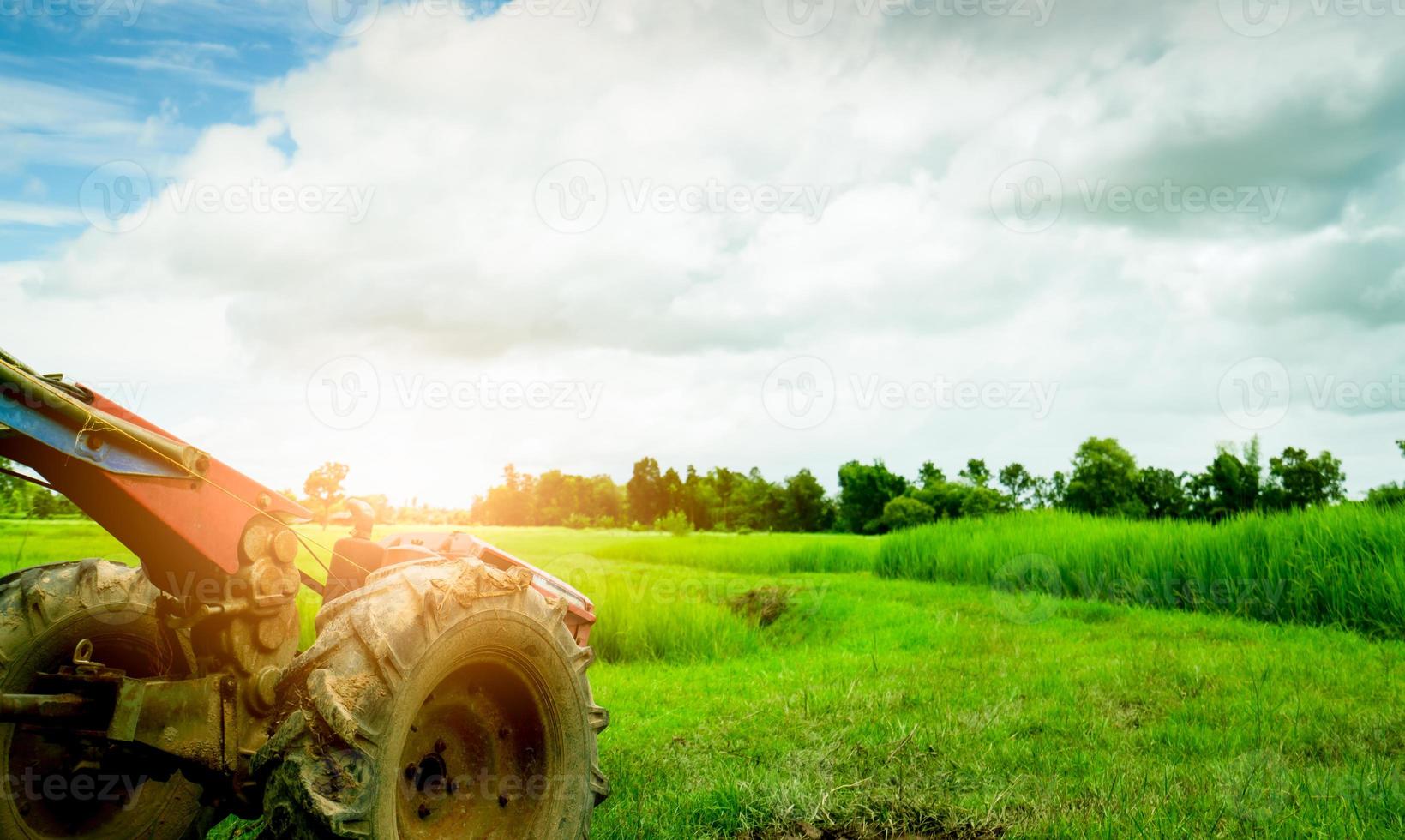 aratro a ruota o aratro a ruota parcheggiato in una risaia verde. macchinari agricoli. trattore a comando pedonale. piantagione di riso. risaia in asia. agricoltura risicola. natura dei terreni agricoli. foto