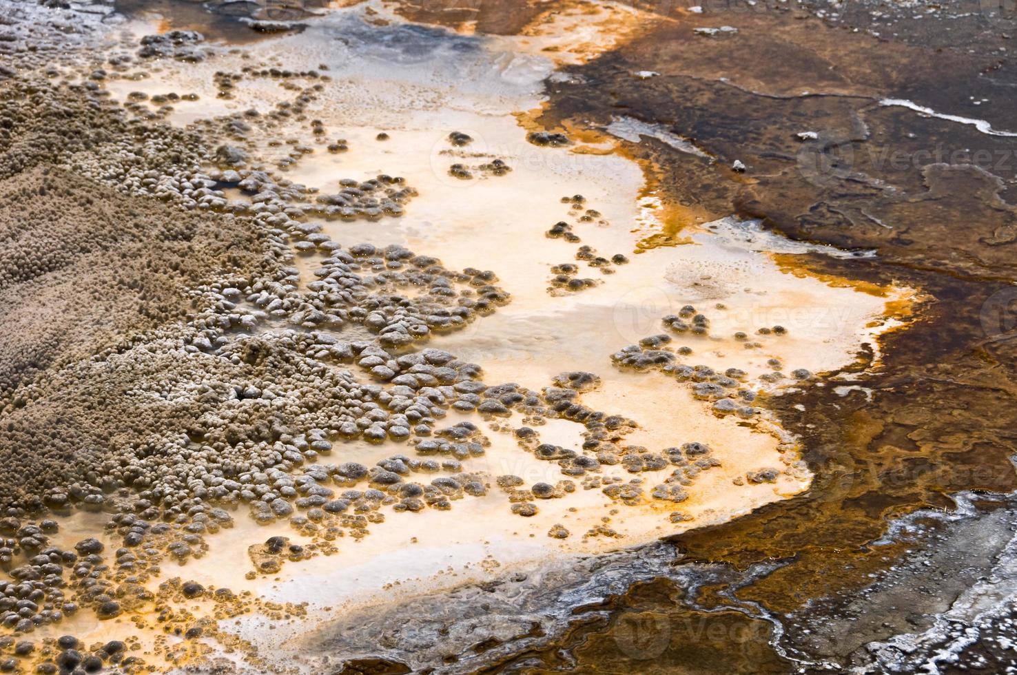 bacino superiore del geyser, parco nazionale di yellowstone, stati uniti d'america foto