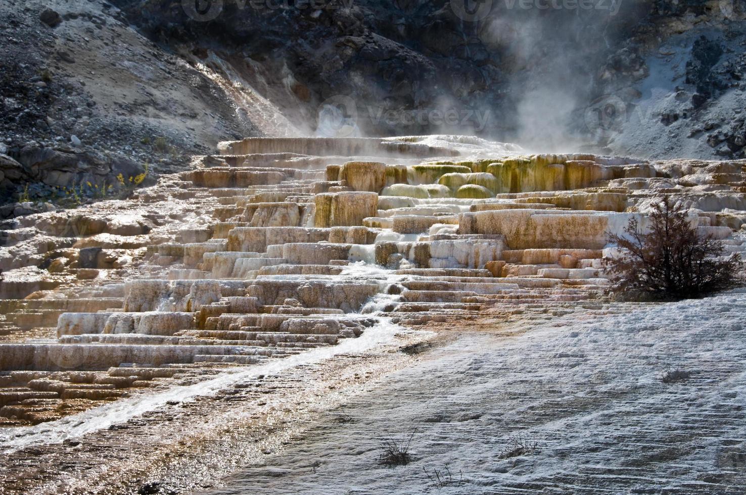 Mammoth Hot Springs, parco nazionale di yellowstone, stati uniti d'america foto