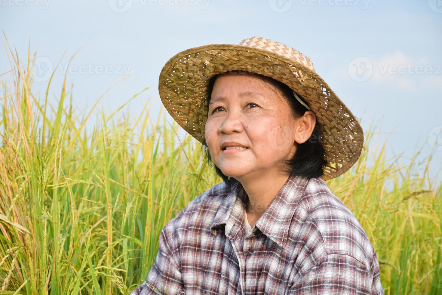 Ritratto di anziana donna asiatica che indossa un cappello a foglia di palma e una camicia a scacchi, si siede vicino alla risaia gialla e guarda in alto il cielo, messa a fuoco morbida e selettiva, concetto di contadino felice. foto