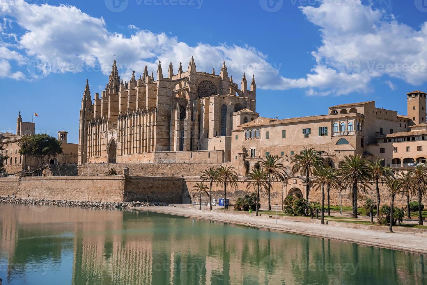 palme che crescono al canale waterside dalla cattedrale di la seu contro il cielo blu nella città vecchia foto