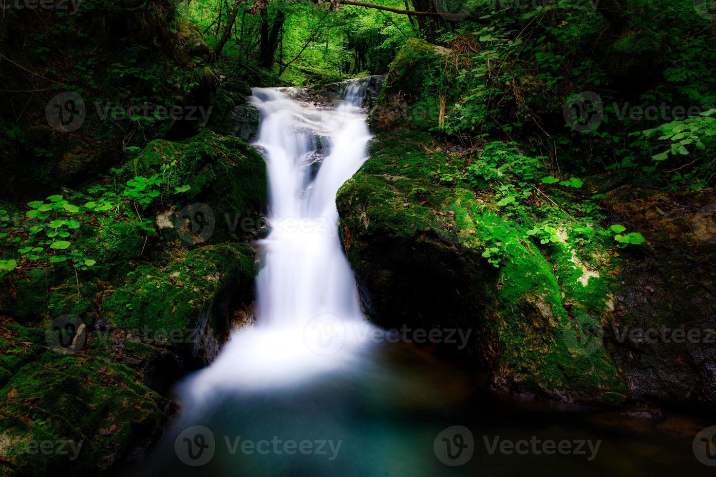piccola cascata in una valle nella foresta foto