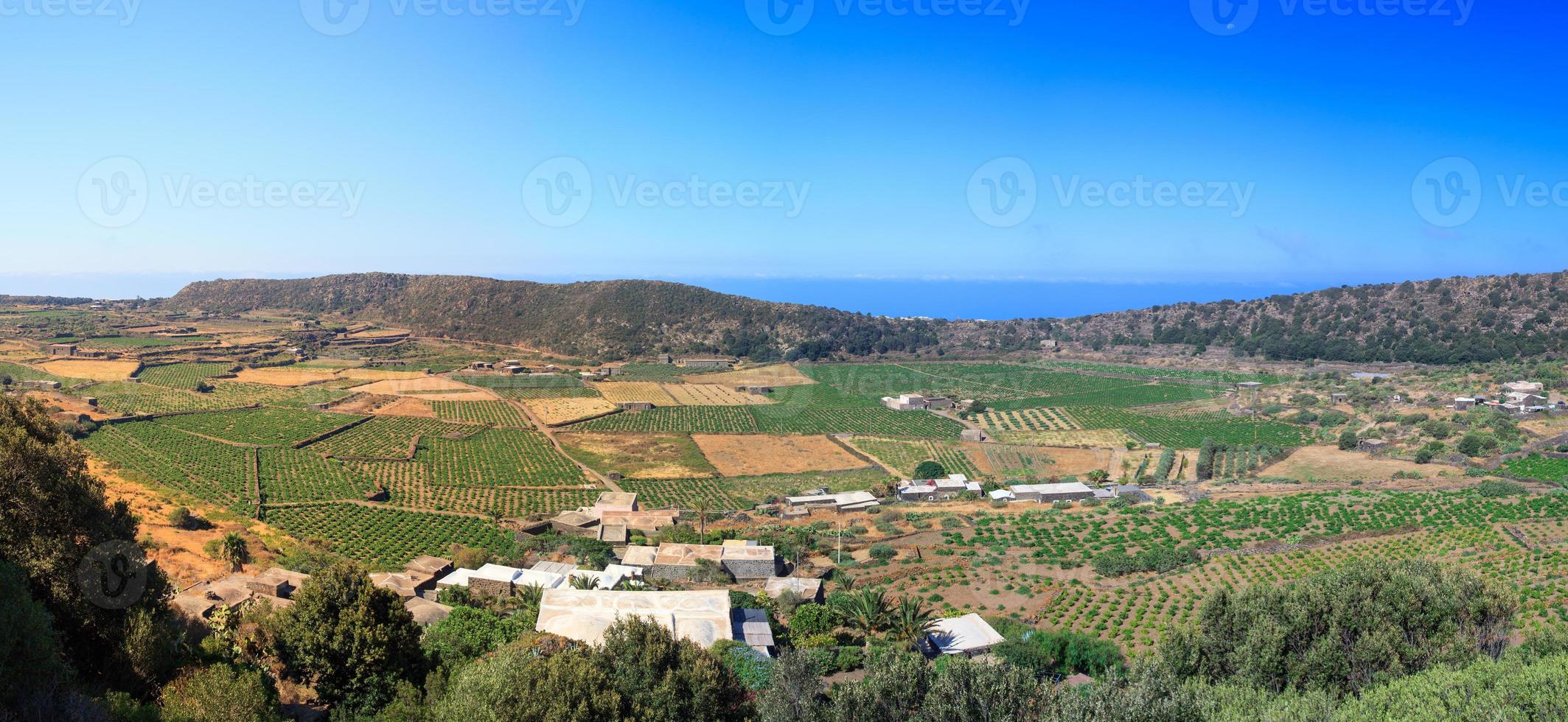 valle del monastero, pantelleria foto