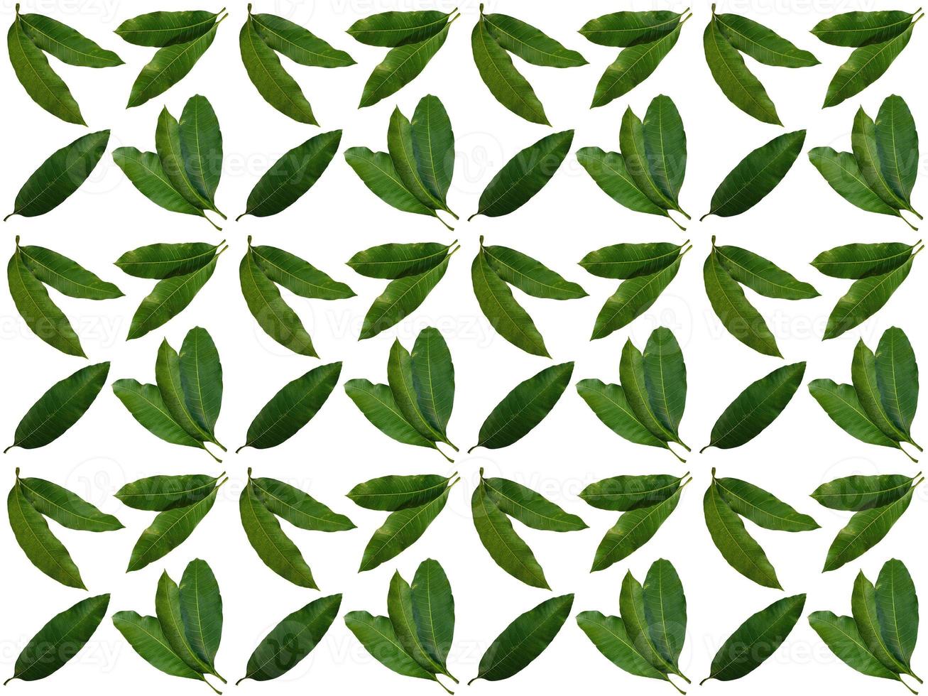 modello di foglie su sfondo bianco foto