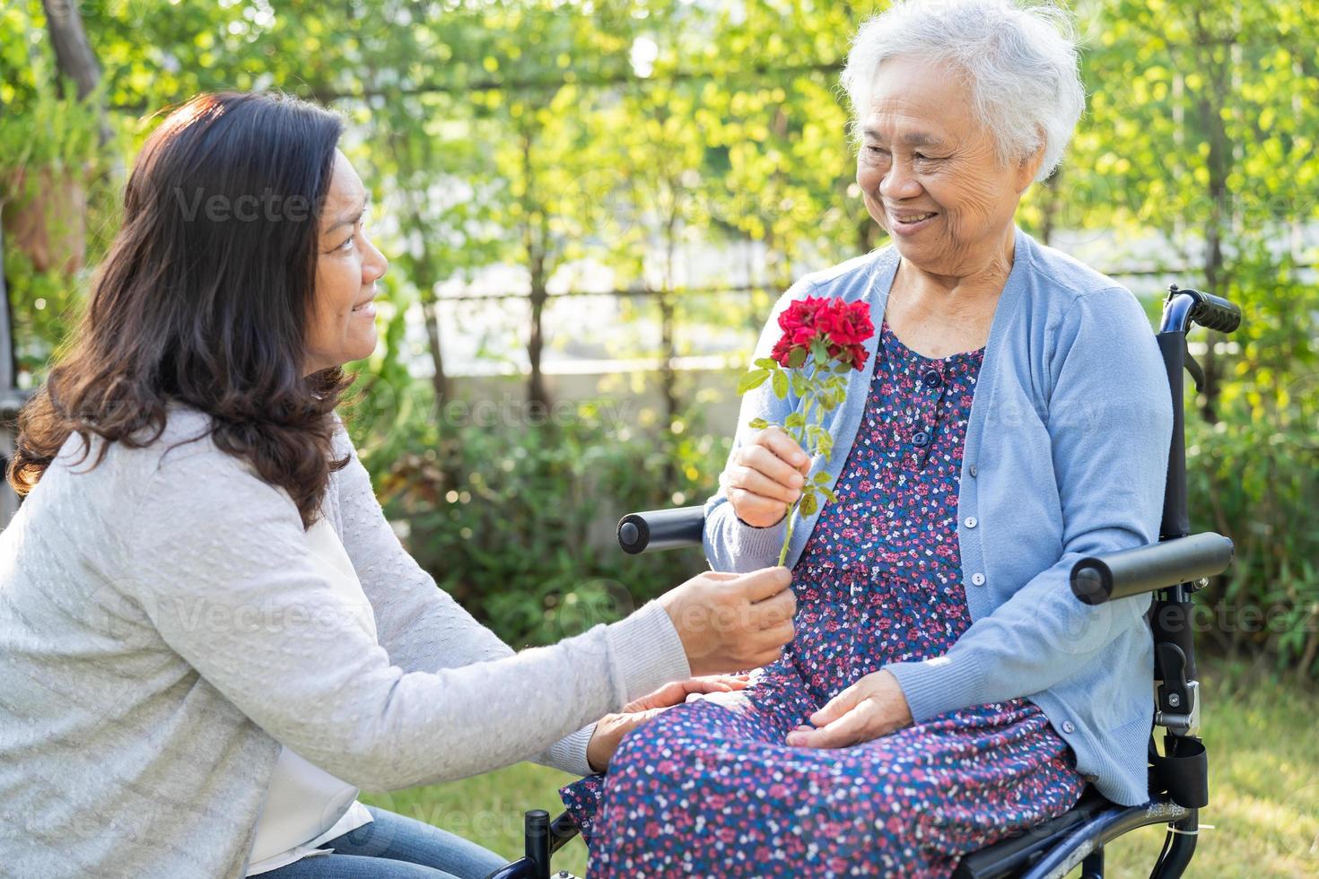 figlia del caregiver abbraccia e aiuta asiatica anziana o anziana signora anziana che tiene una rosa rossa su sedia a rotelle nel parco. foto