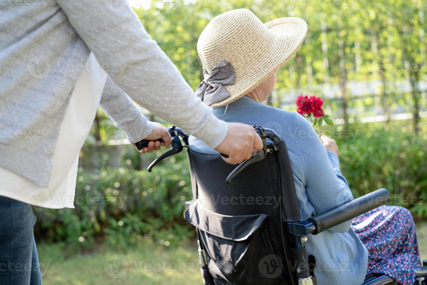 figlia del caregiver abbraccia e aiuta asiatica anziana o anziana signora anziana che tiene una rosa rossa su sedia a rotelle nel parco. foto