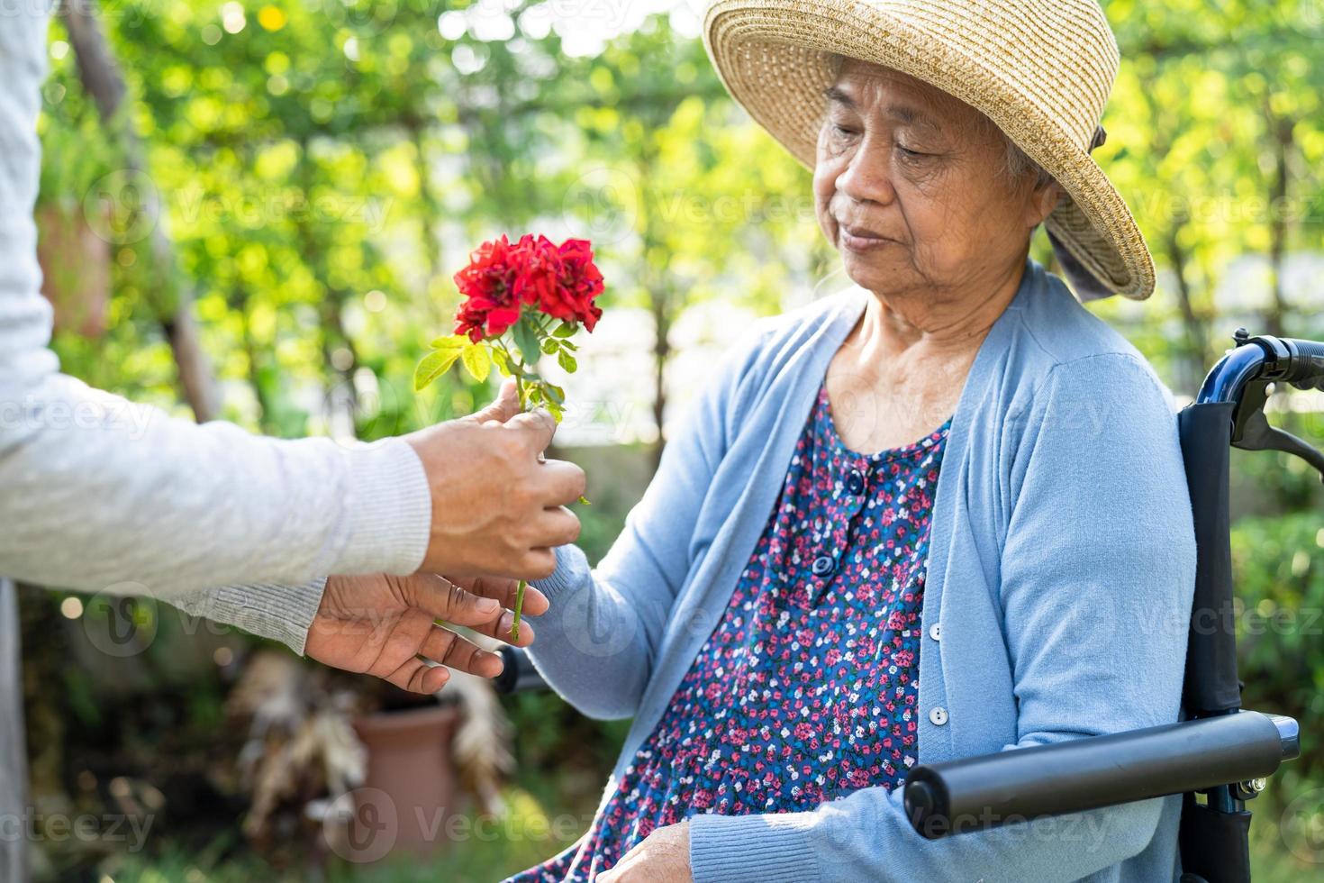 figlia del caregiver abbraccia e aiuta asiatica anziana o anziana signora anziana che tiene una rosa rossa su sedia a rotelle nel parco. foto