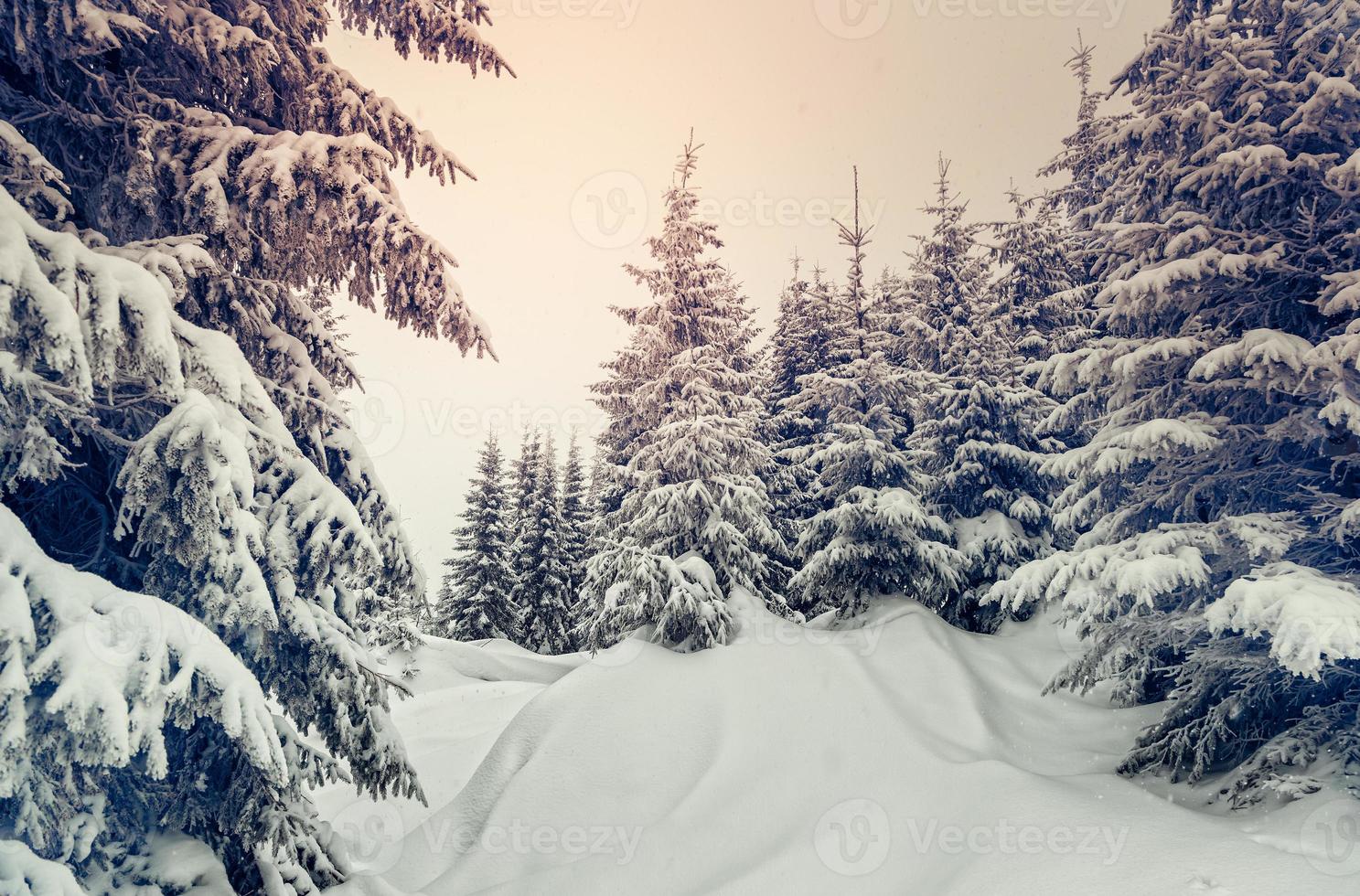 meraviglioso paesaggio invernale foto
