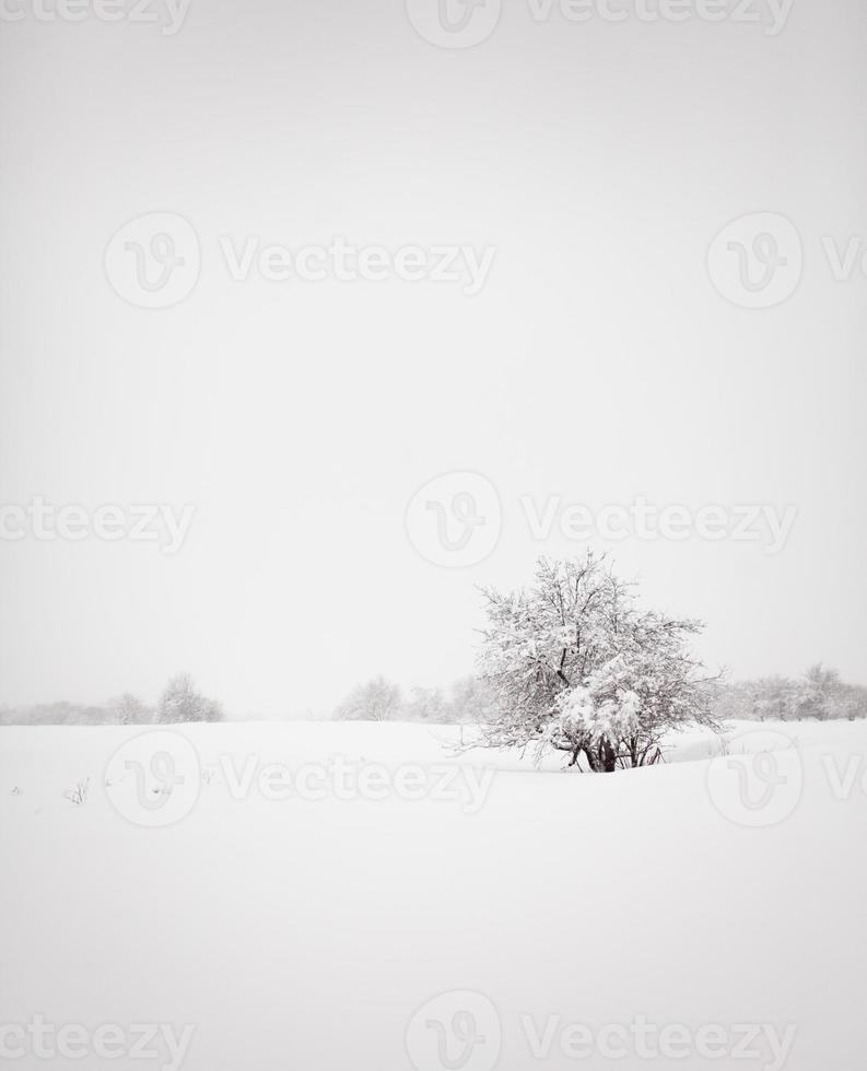 paesaggio invernale minimalista foto