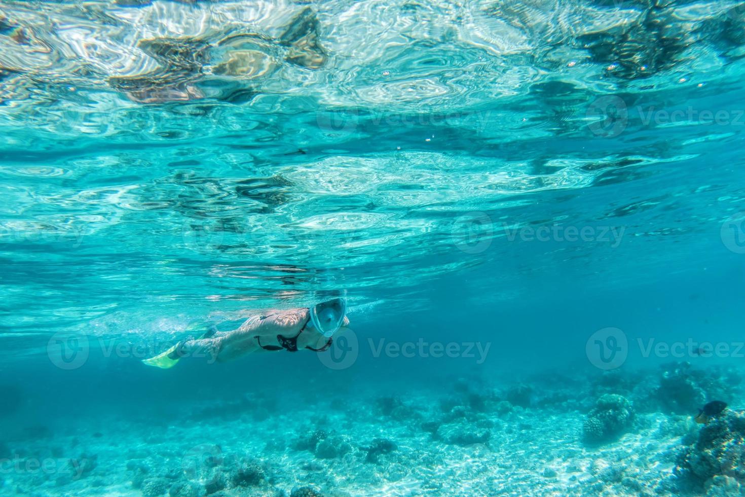 donna che fa snorkeling sott'acqua nell'Oceano Indiano, Maldive foto