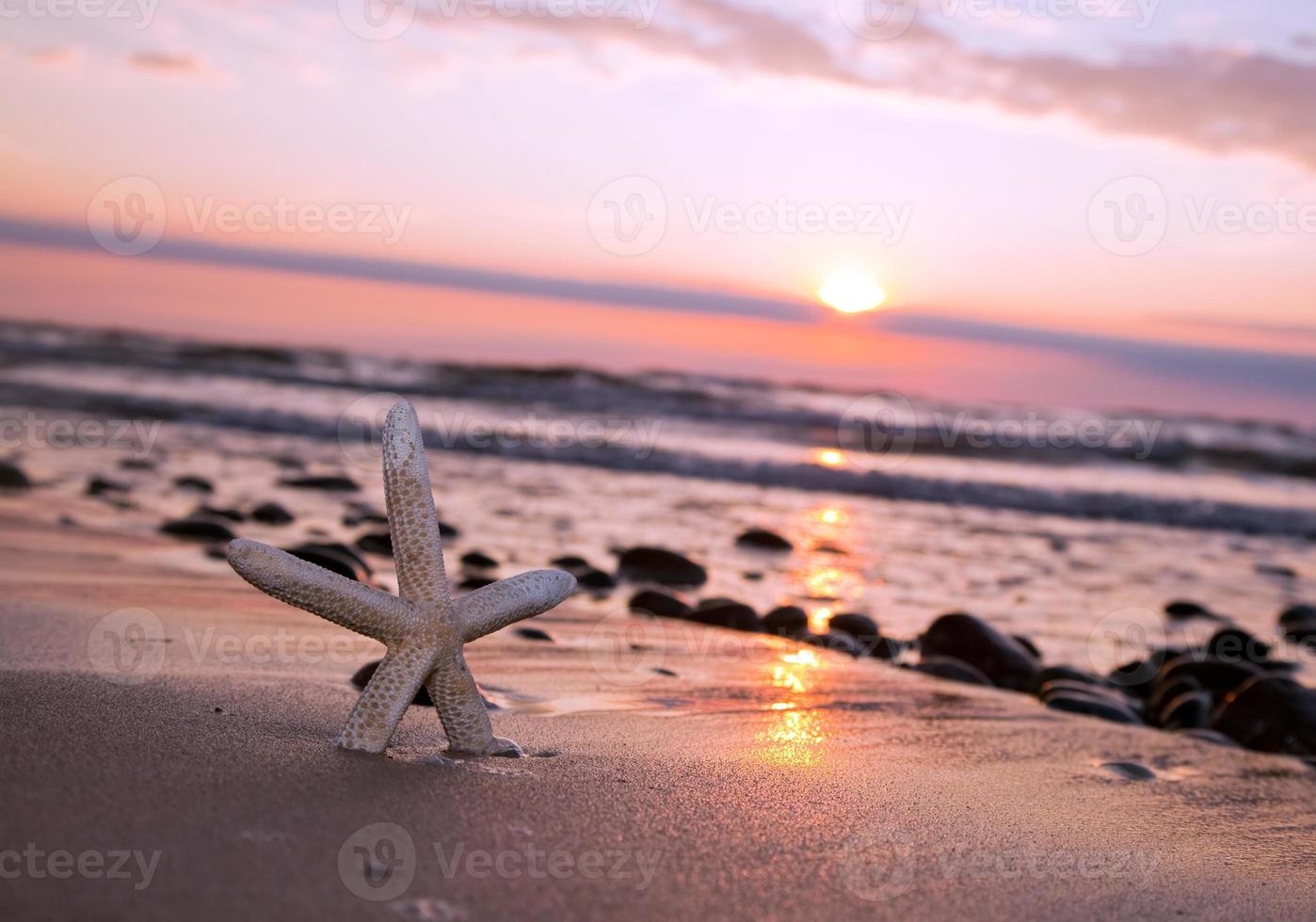 stelle marine sulla spiaggia al tramonto foto