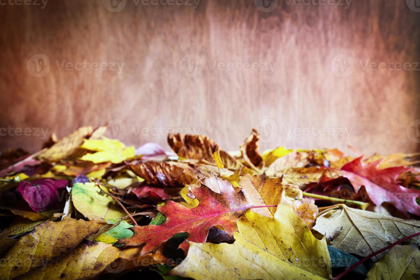 foglie di caduta su fondo di legno. autunno colorato foto