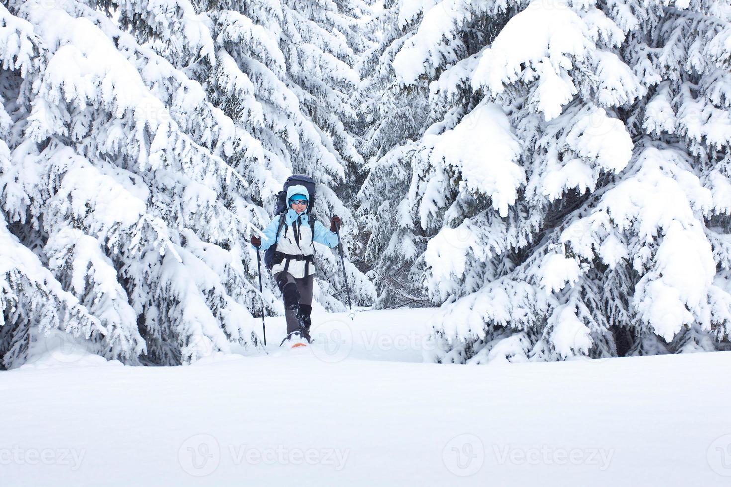 escursionista nella foresta invernale foto